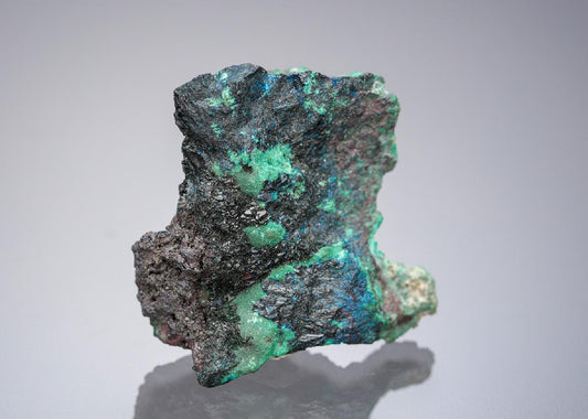 CC14969 specimen image
