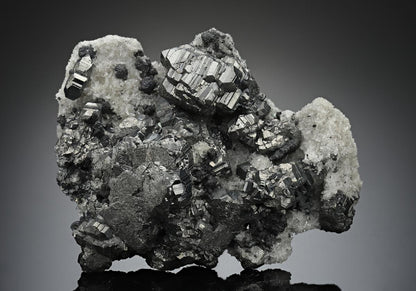 CC14986 specimen image