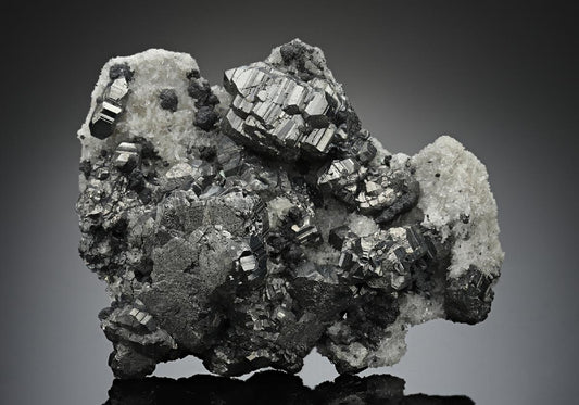 CC14986 specimen image
