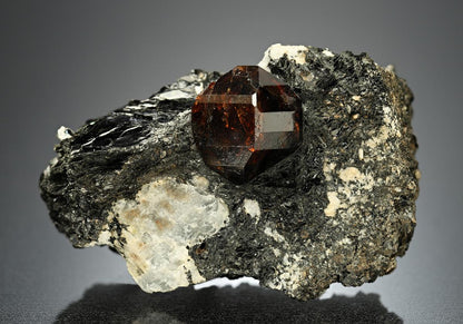 CC14994 specimen image
