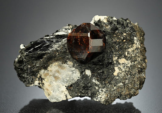 CC14994 specimen image