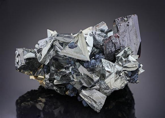 CC14996 specimen image