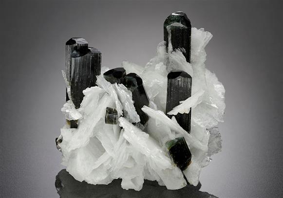 CC15007 specimen image