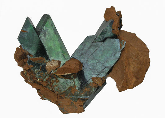 CC15031 specimen image