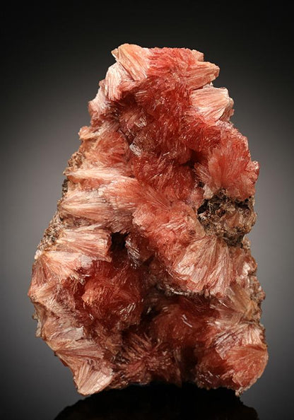 CC15034 specimen image