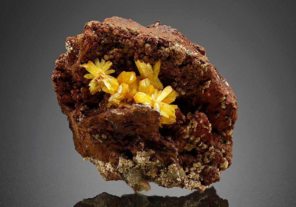 CC15043 specimen image