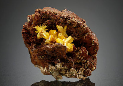 CC15043 specimen image