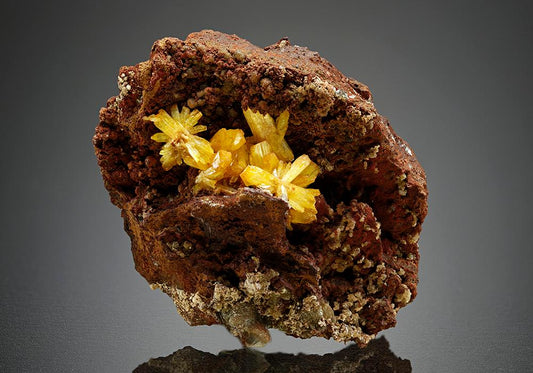 CC15043 specimen image