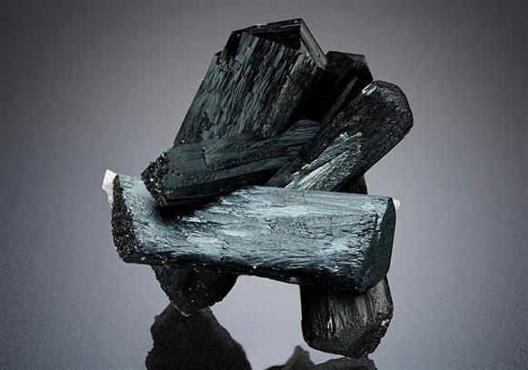 CC15062 specimen image