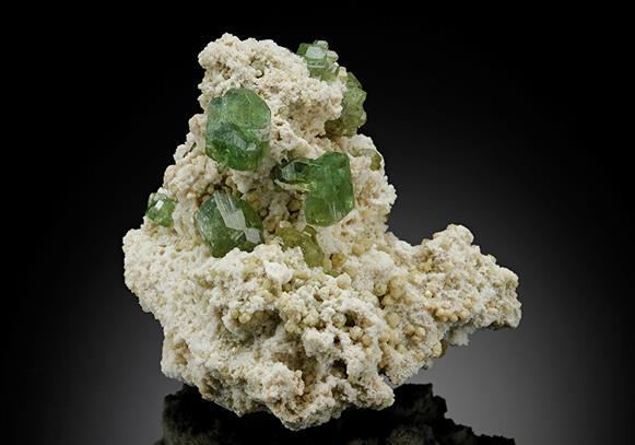CC15066 specimen image