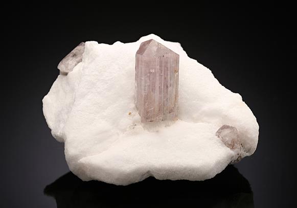 CC15069 specimen image