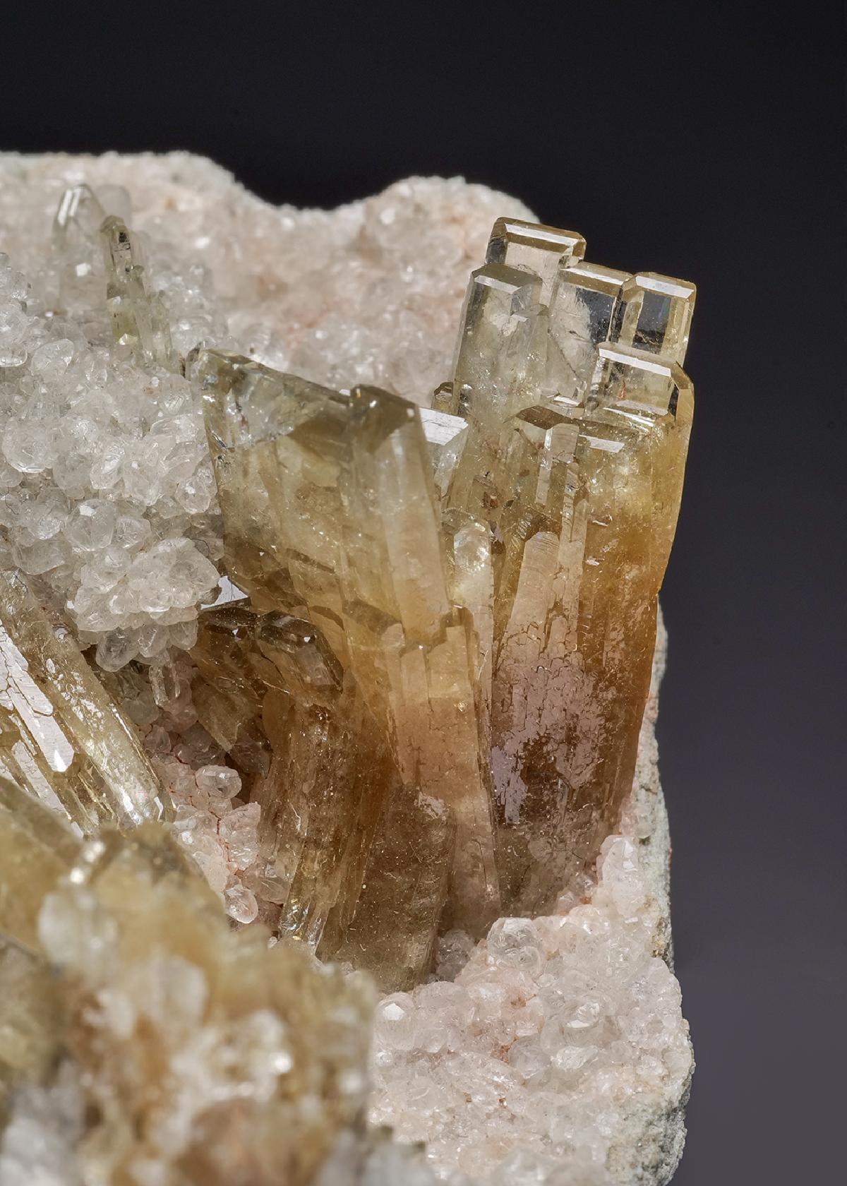 CC15110 specimen image