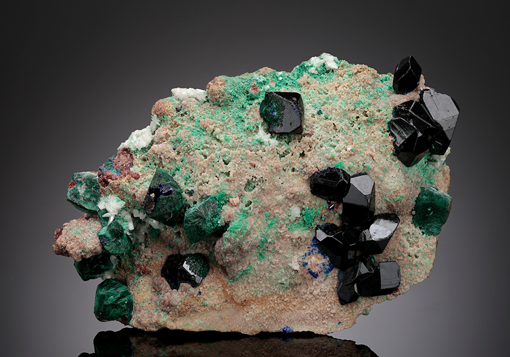 CC15115 specimen image