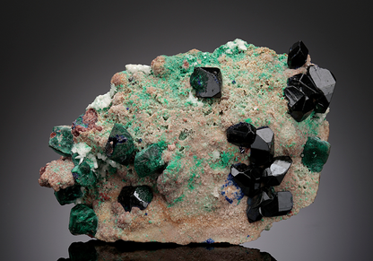 CC15115 specimen image