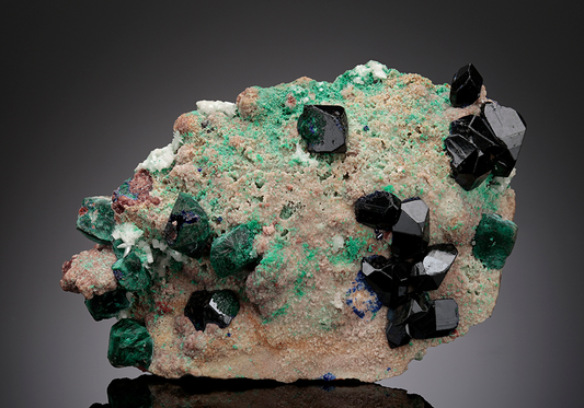 CC15115 specimen image