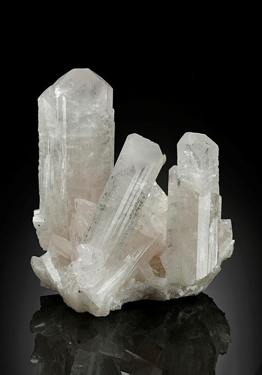 CC15120 specimen image