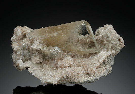 CC15125 specimen image