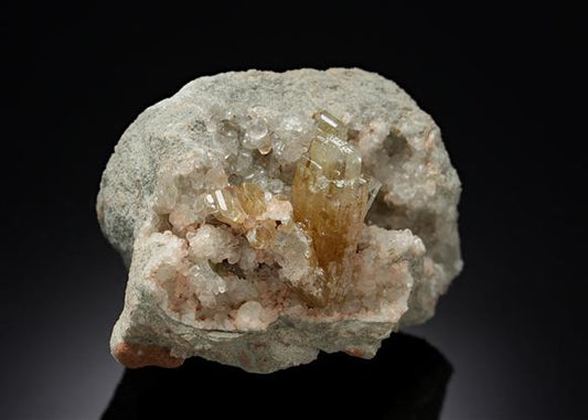 CC15130 specimen image