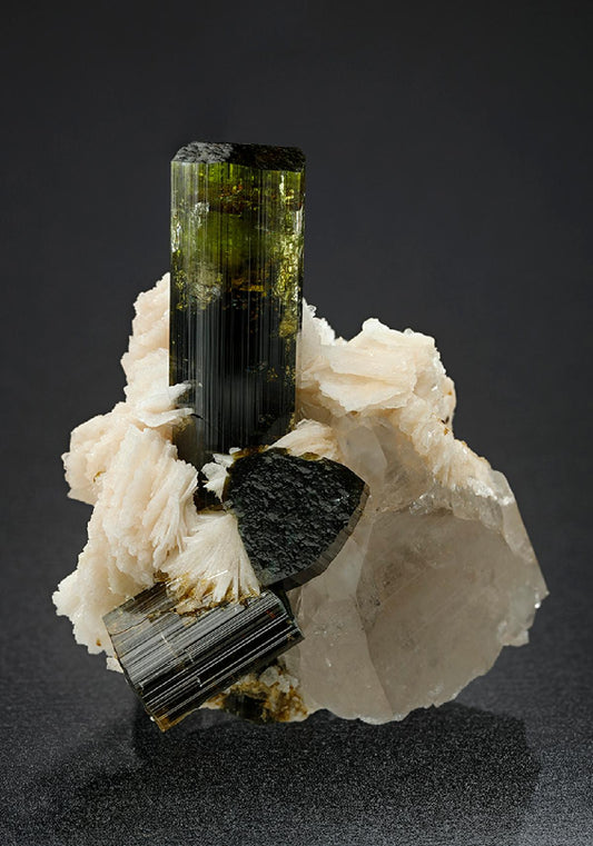 CC15140 specimen image