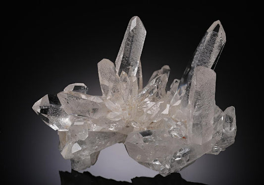 CC15154 specimen image