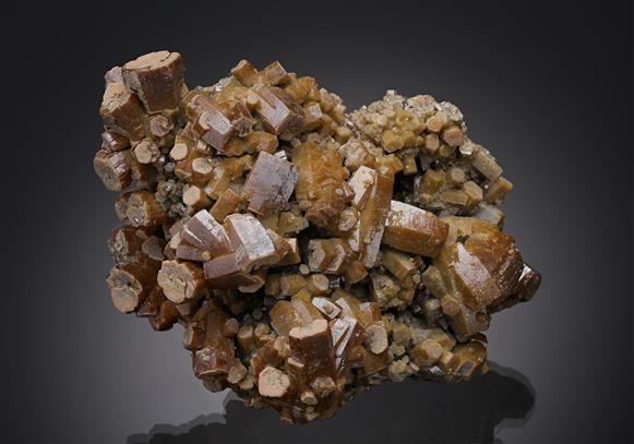 CC15189 specimen image