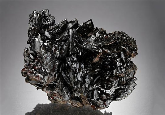 CC15193 specimen image
