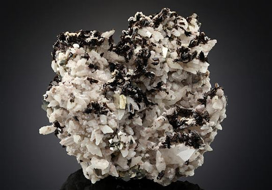 CC15201 specimen image