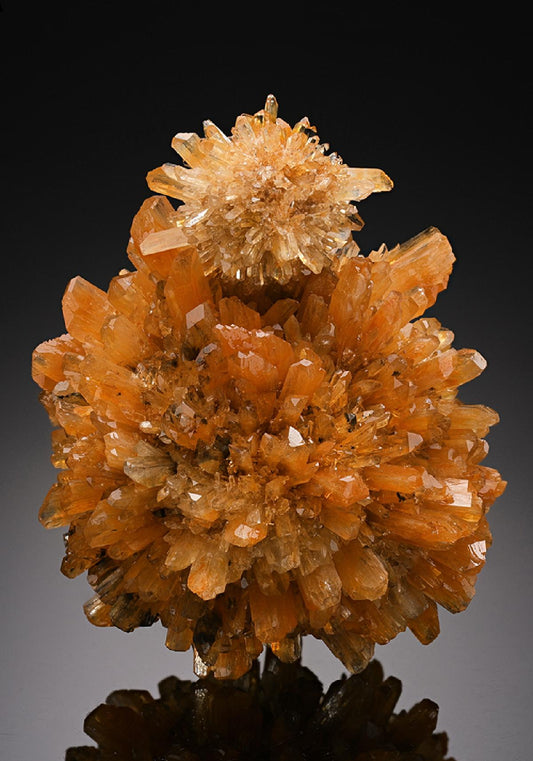 CC15210 specimen image