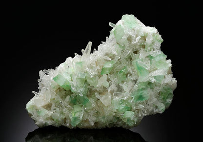 CC15212 specimen image