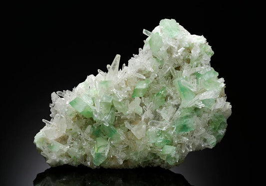 CC15212 specimen image