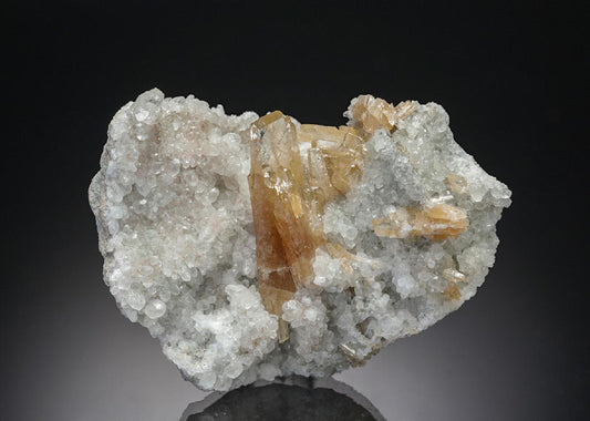 CC15216 specimen image