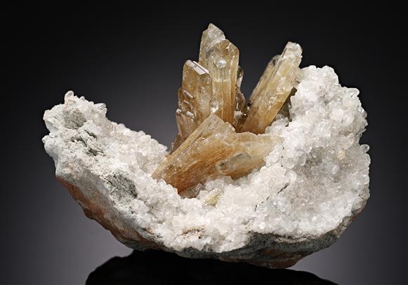 CC15220 specimen image