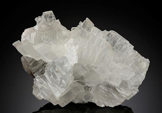 CC15223 specimen image