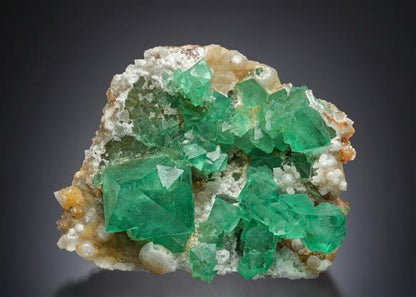 CC15226 specimen image