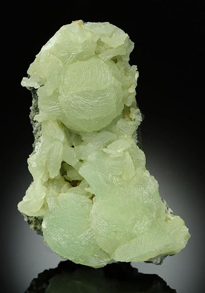 CC15248 specimen image