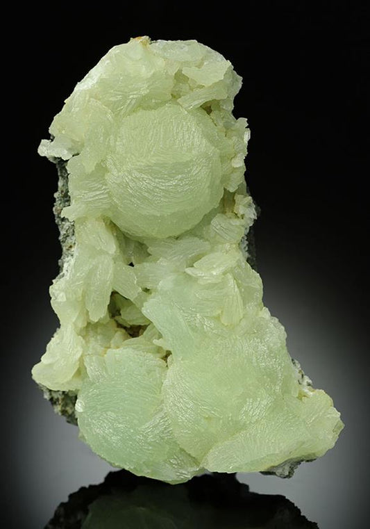CC15248 specimen image