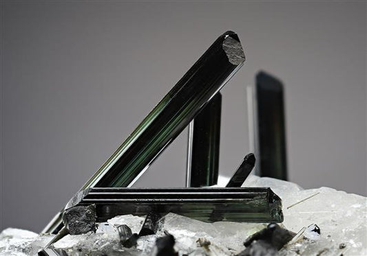 CC15254 specimen image