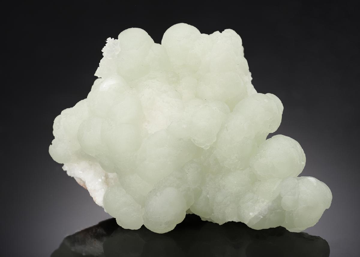 CC15259 specimen image