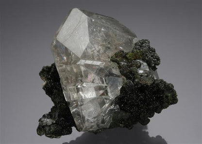CC15266 specimen image
