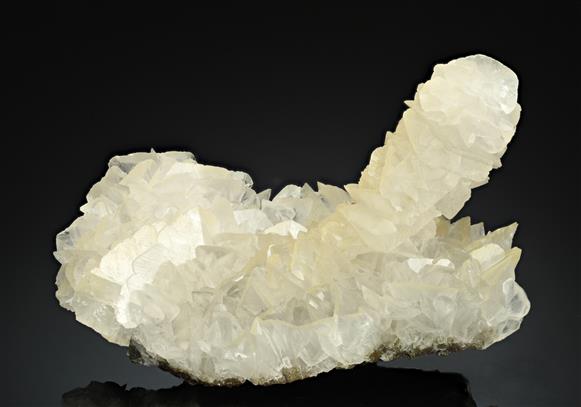 CC15282 specimen image