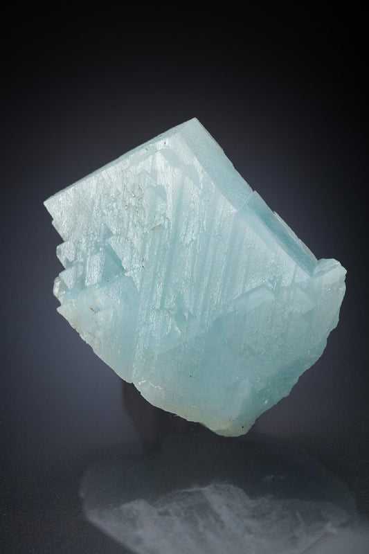 CC15287 specimen image