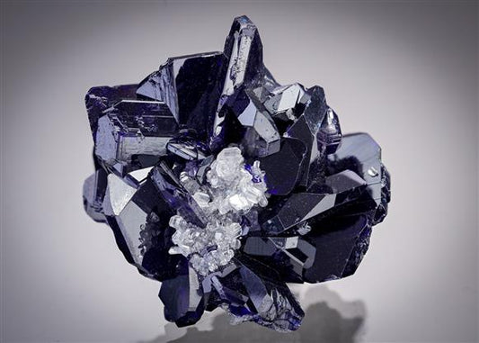 CC15303 specimen image