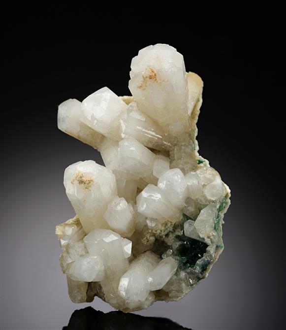 CC15309 specimen image