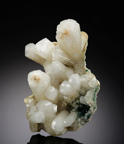 CC15309 specimen image