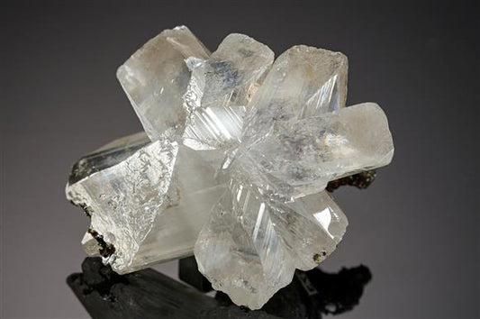 CC15311 specimen image