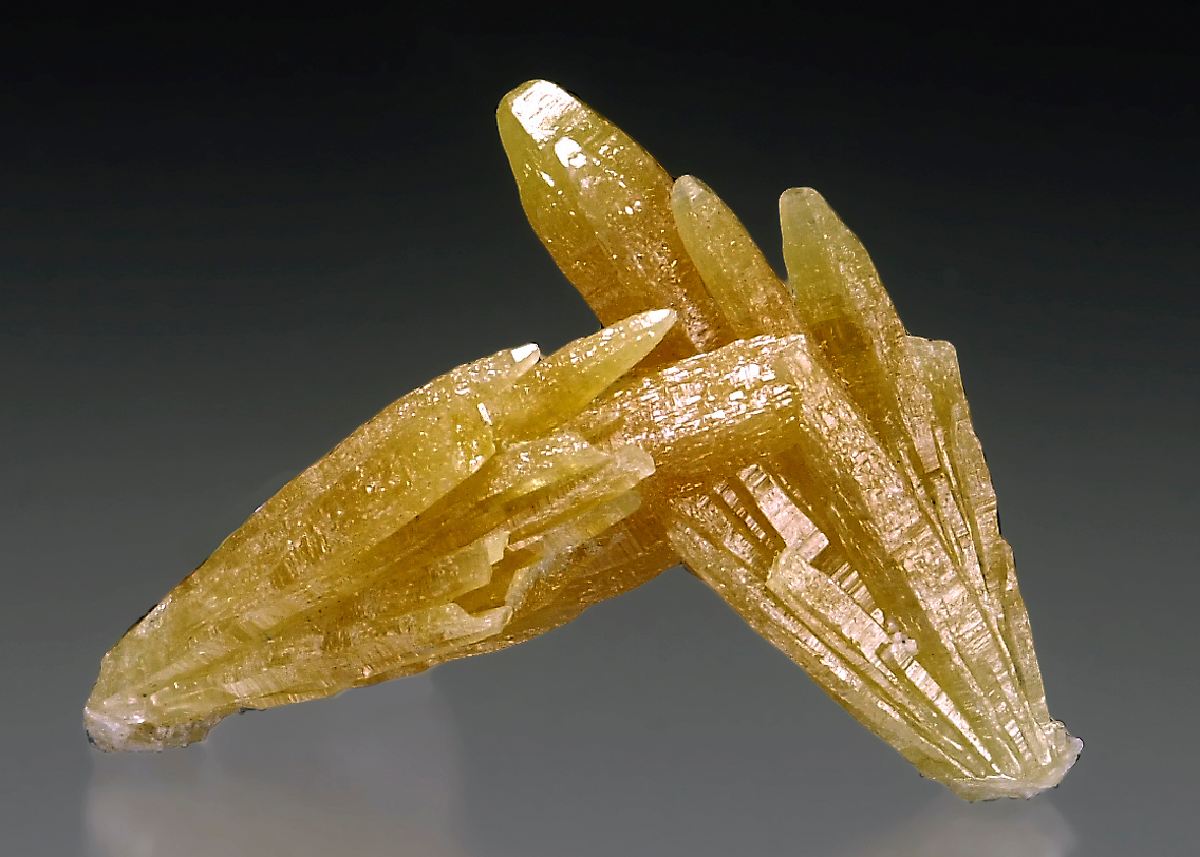 CC15339 specimen image