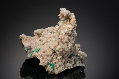 CC15371 specimen image