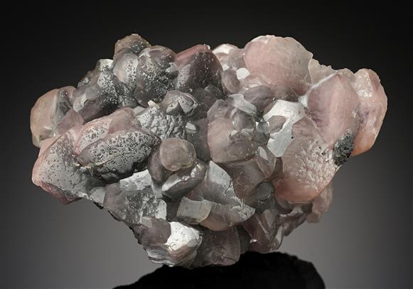 CC15385 specimen image