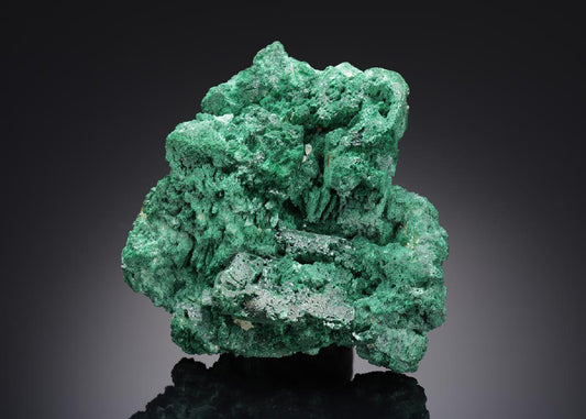 CC15406 specimen image
