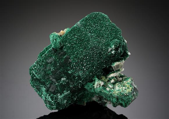 CC15424 specimen image